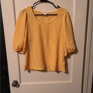 Terra & Sky Yellow Textured Blouse